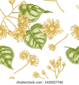 Seamless pattern with hand drawn pastel tilia cordata