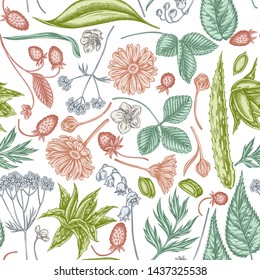 Seamless pattern with hand drawn pastel aloe, calendula, lily of the valley, nettle, strawberry, valerian