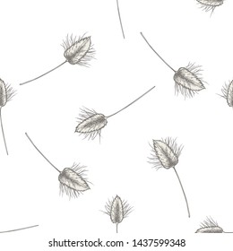 Seamless pattern with hand drawn pastel lagurus