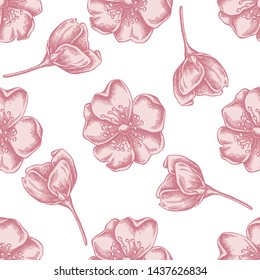 Seamless pattern with hand drawn pastel dog rose