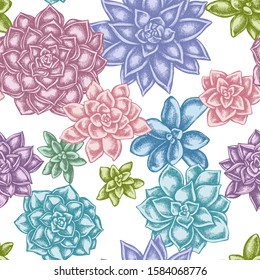 Seamless pattern with hand drawn pastel succulent echeveria