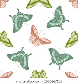 Seamless pattern with hand drawn pastel ornithoptera croesus lydius, papilio palinurus, ornithoptera goliath