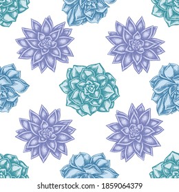 Seamless pattern with hand drawn pastel succulent echeveria, succulent echeveria, succulent