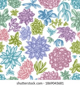 Seamless pattern with hand drawn pastel succulent echeveria, succulent echeveria, succulent