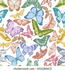 Seamless pattern with hand drawn pastel jungle queens, plain tiger, rajah brooke s birdwing, papilio torquatus