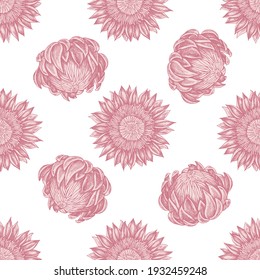 Seamless pattern with hand drawn pastel protea