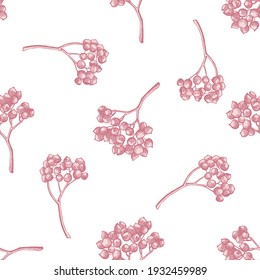 Seamless pattern with hand drawn pastel rosemary everlasting