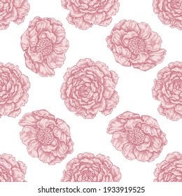 Seamless pattern with hand drawn pastel peony