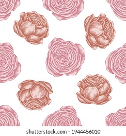 Seamless pattern with hand drawn pastel ranunculus