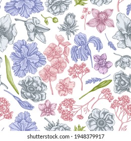 Seamless pattern with hand drawn pastel anemone, lavender, rosemary everlasting, phalaenopsis, lily, iris