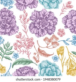 Seamless pattern with hand drawn pastel wax flower, forget me not flower, tansy, ardisia, brassica, decorative cabbage