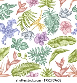 Seamless pattern with hand drawn pastel monstera, banana palm leaves, strelitzia, heliconia, tropical palm leaves, orchid