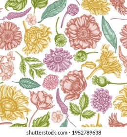 Seamless pattern with hand drawn pastel poppy flower, gerbera, sunflower, milkweed, dahlia, veronica