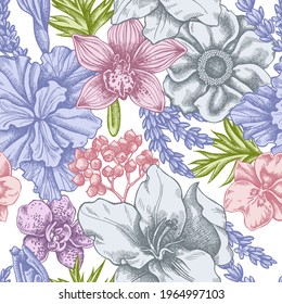 Seamless pattern with hand drawn pastel anemone, lavender, rosemary everlasting, phalaenopsis, lily, iris