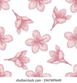 Seamless pattern with hand drawn pastel plum flowers