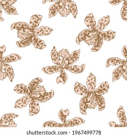 Seamless pattern with hand drawn pastel cattleya aclandiae