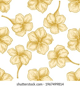 Seamless pattern with hand drawn pastel allamanda