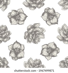 Seamless pattern with hand drawn pastel magnolia flowers