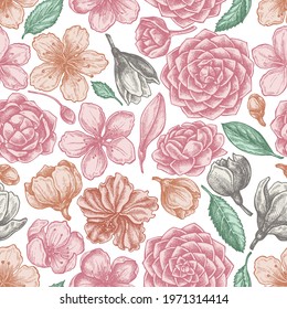 Seamless pattern with hand drawn pastel hibiscus, plum flowers, peach flowers, sakura flowers, magnolia flowers, camellia japonica