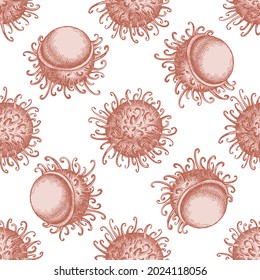 Seamless pattern with hand drawn pastel rambutan