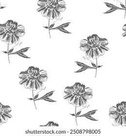 Seamless pattern with hand drawn peony flower. Pen and ink style illustration