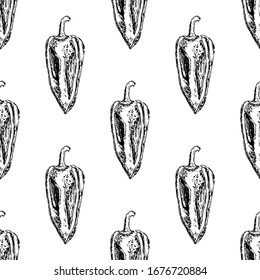 Seamless pattern Hand Drawn pepper doodle. Sketch style icon. Decoration element. Isolated on white background. Flat design. Vector illustration.