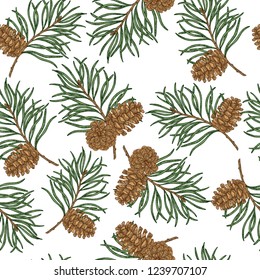 Seamless pattern with hand drawn pine cones and branches. Vector illustration engraved. Christmas plants design.