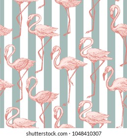 Seamless pattern with hand drawn pink flamingo