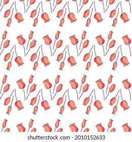 Seamless pattern of hand drawn pink tulips branches on white background. Spring flowers line drawing sketch collection. Vector illustration 