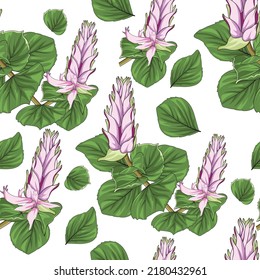 seamless pattern of hand drawn pink spur flower on white background