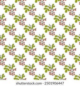 Seamless pattern with hand drawn Pistachio (Pistacia vera), edible and medicinal plant. Vector illustration