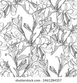 Seamless pattern with hand drawn plants. Summer botanical background. Alstroemeria hand drawn flowers repeatable wallpaper.