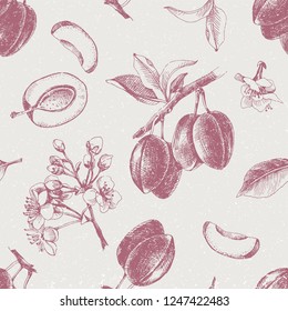 Seamless pattern with hand drawn plum flowers and fruits. Vector illustration