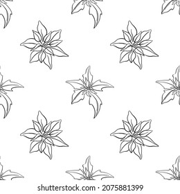 Seamless pattern with hand drawn poinsettia flowers isolated on white background. Christmas design elements. Vector illustration