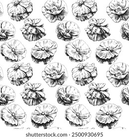 Seamless pattern with hand drawn poppy flowers illustration.