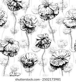 Seamless pattern with hand drawn poppy flowers illustration.