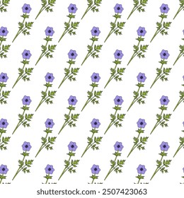 Seamless pattern with hand drawn Poppy anemone, or Spanish marigold, or windflower (Anemone coronaria), ornamental and edible plant. Vector illustration