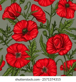 Seamless pattern with hand drawn Poppy flowers. Vector illustration of summer poppy flowers, buds and leaves. Botanical colored drawing of blossom for textile design. Vintage engraved style