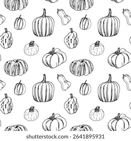 seamless pattern with hand drawn pumpkins butternut, nutmeg, forage, white background, vintage style