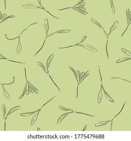 Seamless pattern Hand drawn rainbow chard micro greens. chard. Vector illustration in sketch style and silhouette of lines on a green background. Vitamin supplement, vegan food.