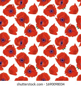 Seamless pattern with hand drawn red poppy flowers on white background. Vector illustration.