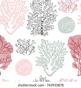 Seamless pattern with hand drawn reef corals sketch. Vector background with underwater natural elements. Vintage sea life illustration.