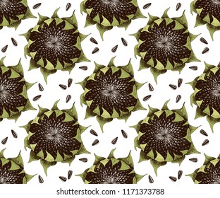 Seamless pattern with hand drawn ripe sunflowers and seeds. Vector illustration in retro style