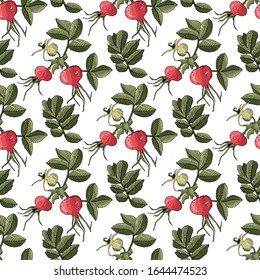 Seamless pattern with hand drawn rose hip. Fruit background. Vector illustration.