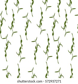 Seamless Pattern with hand drawn rosemary plant. Green leaves with herbs for cooking and health care on white background. Print with rosemary leaves. vector stock illustration. 