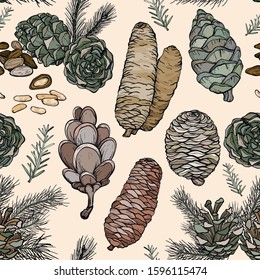 Seamless pattern with Hand drawn rustic Natural forest branches and cones. Forest collection of coniferous branches and pine cones