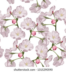 Seamless pattern with hand drawn sakura flowers. Beautiful floral design elements, white background.