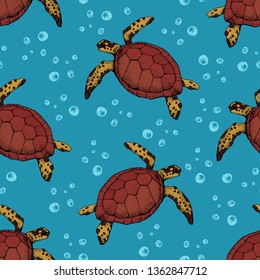 Seamless pattern with Hand drawn sea turtles. Vector with animal underwater. Illustration for wallpaper, web page background, surface textures, textile.