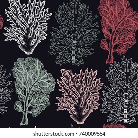 Seamless pattern with hand drawn sea fans corals - gorgonia sketch. Vector background with underwater natural elements. Vintage sealife illustration.