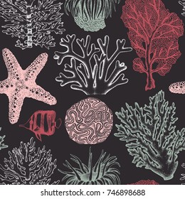 Seamless pattern with hand drawn sea fans corals - gorgonia sketch. Vector background with underwater natural elements. Vintage sealife illustration.